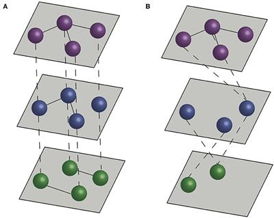 Multilayer and Multiplex Networks: An Introduction to Their Use in Veterinary Epidemiology